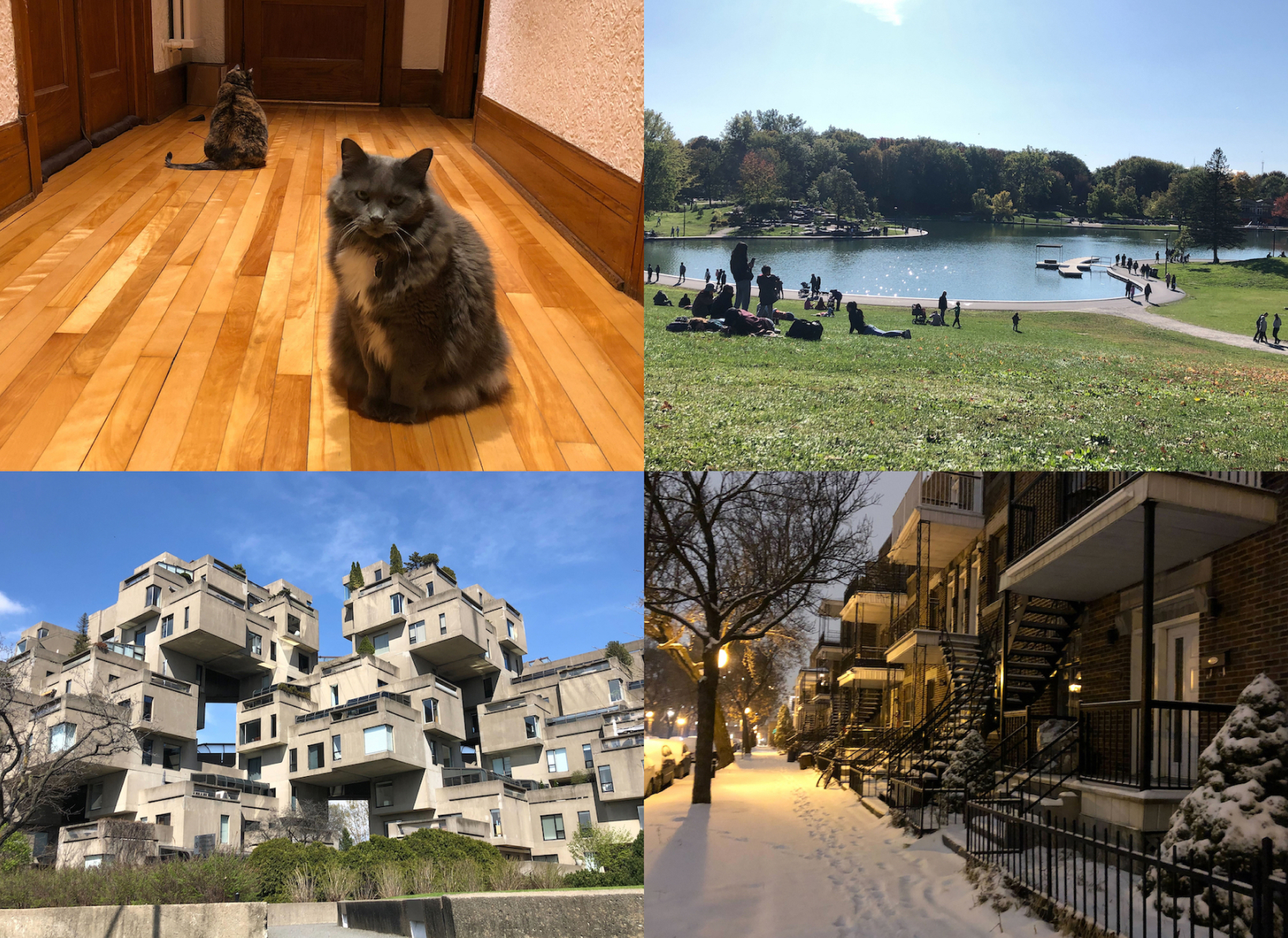 カナダのモントリオールにいた頃に撮影した写真